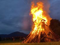 IMG_23681292