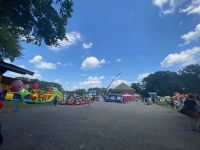 IMG_29311558
